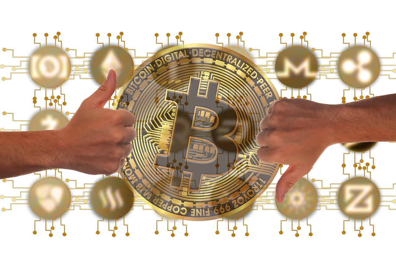 聊城仔猪最新价格动态分析与价格走势揭秘