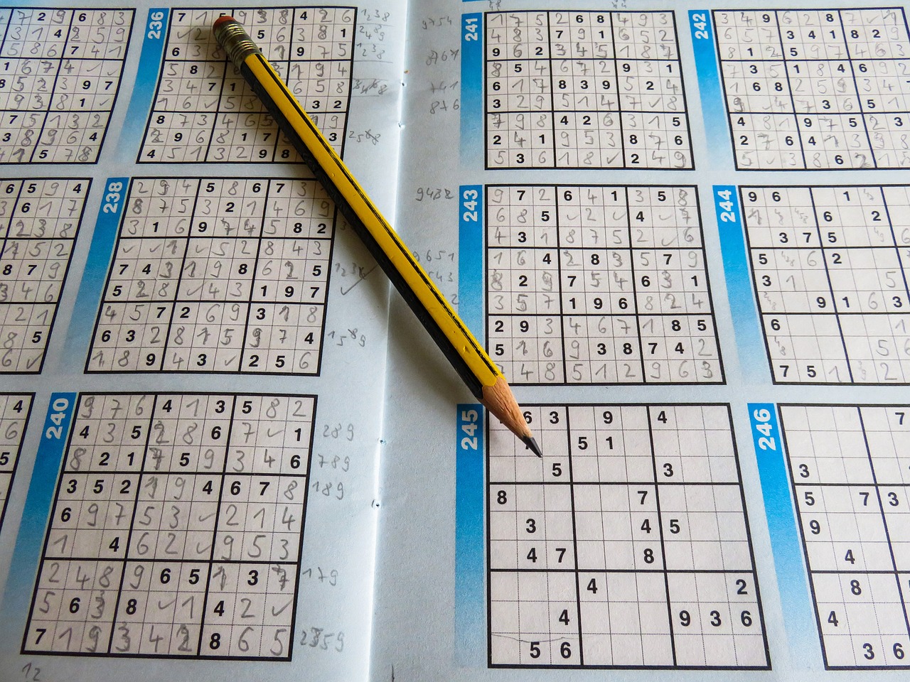 2024年天天开好彩大全，实时处理解答计划，交互式版124.3367